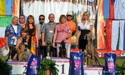 Молдавија 28.08.2012