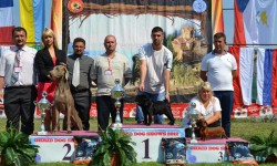 Црна Гора 29.08.2012