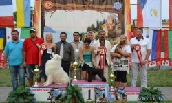 Грузија 29.08.2012