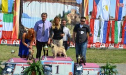 Азербеџан 31.08.2012