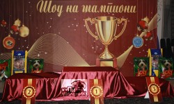 Шоу на шампиони 2012